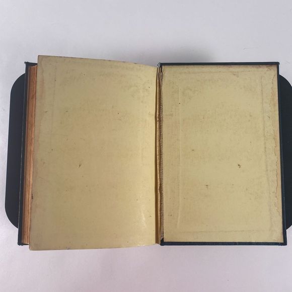 1895 Handbook of British Flora by George Bentham - Picture 12 of 13